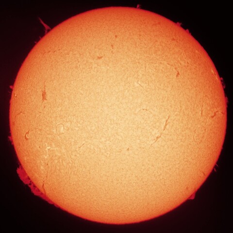 2/21朝の太陽(Hα中心付近・カラーにて)
