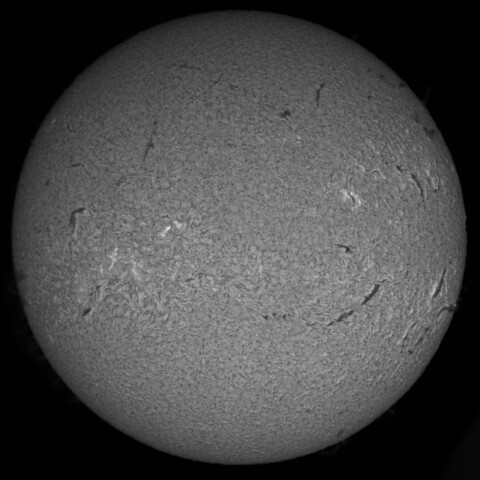 2/22朝の太陽(Hα中心付近)