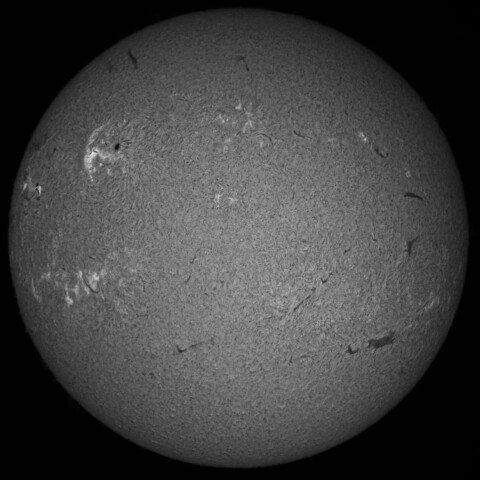 3/1朝の太陽(Hα中心付近)