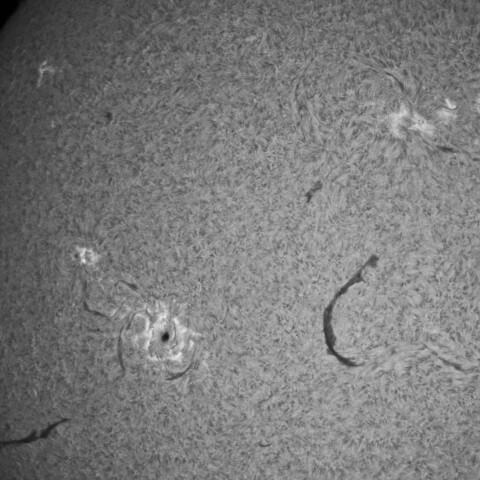 3/16朝の太陽(Hα・4394周辺ざっくりと)