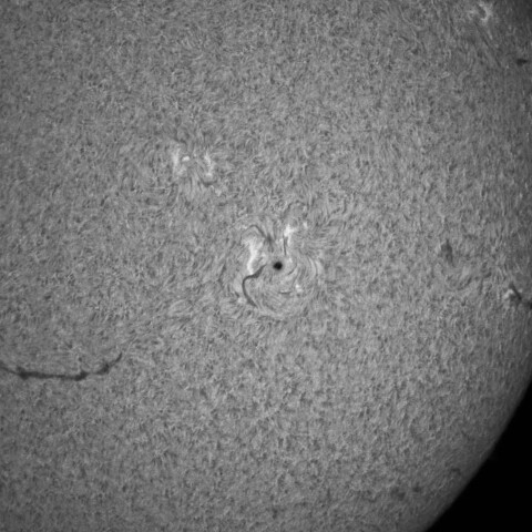 3/20朝の太陽(Hα・4394周辺ざっくりと2)