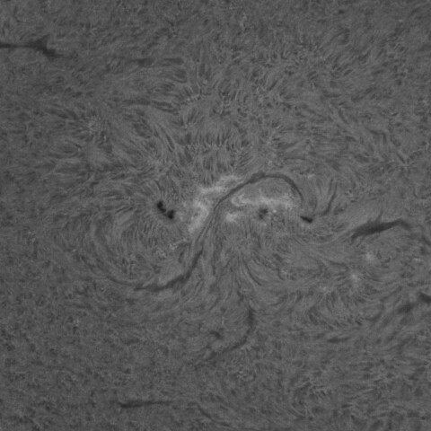 4/3昼の太陽(Hα・4405)