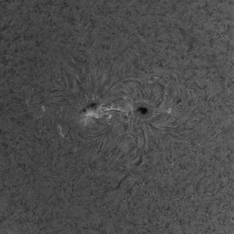 4/18午後の太陽(4419付近)