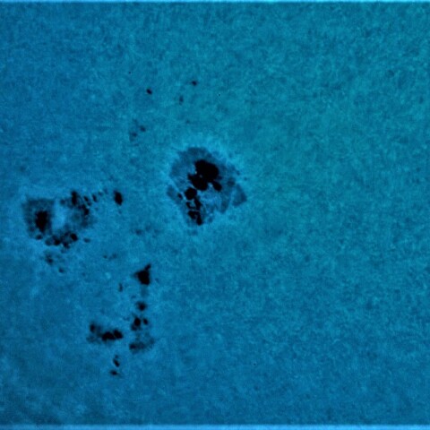 黒点半暗部周辺の現象:3182