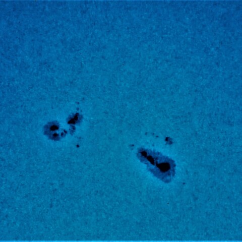 黒点半暗部周辺の現象:3179