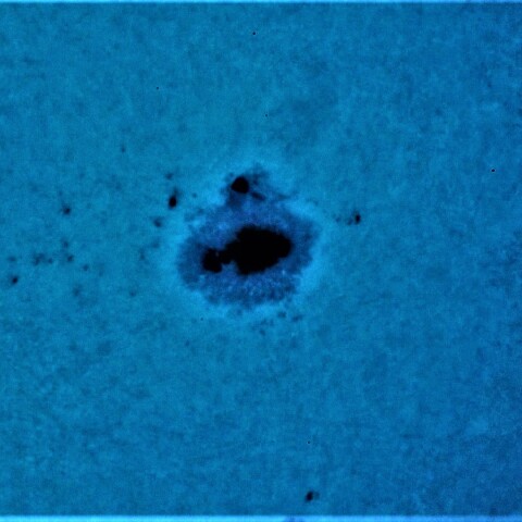 黒点半暗部周辺の現象(3190)