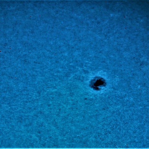 黒点半暗部周辺の現象(3131)