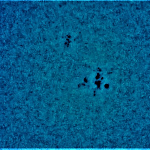 黒点半暗部周辺の現象(3207)