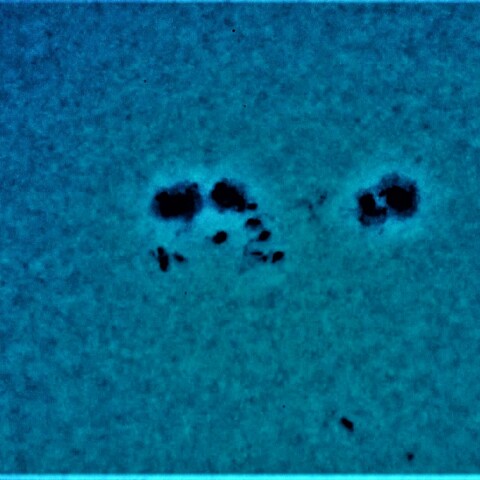 黒点半暗部周辺の現象(3213)