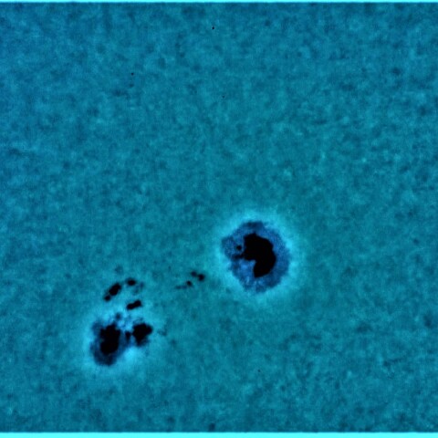 黒点半暗部周辺の現象(3214)