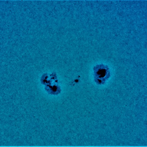 黒点半暗部周辺の現象(3214)