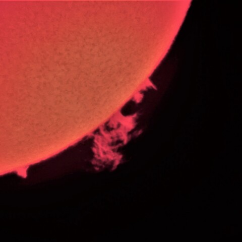 2月25日の太陽　プロミネンス