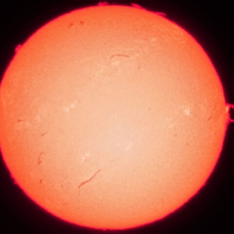 4/1  朝一の太陽  C9.7フレアからのプロミネンス