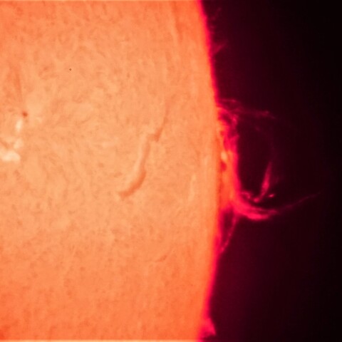 4/1  朝一の太陽  C9.7フレアからのプロミネンス