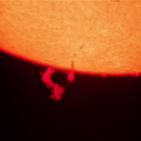 4/9の太陽面　　プロミネンス