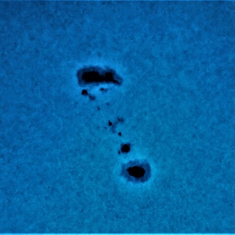 黒点半暗部周辺の現象(3282)