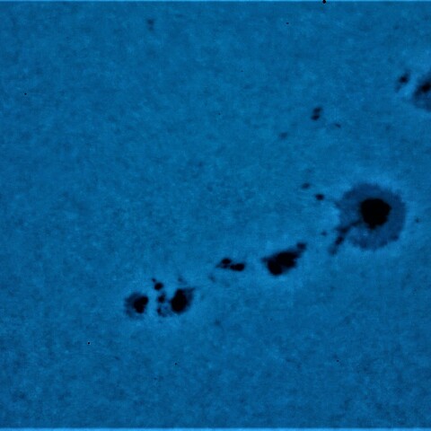 黒点半暗部周辺の現象(3285、3288)