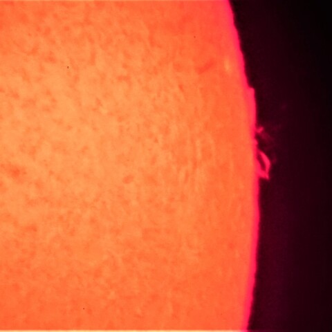 5/5朝一の太陽　プロミネンス噴出とループ　その後