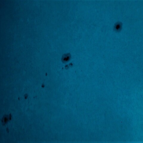 黒点半暗部周辺の現象(3311、3313、3314)