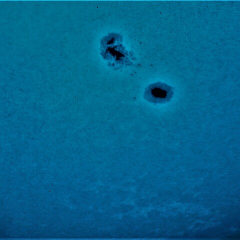 黒点半暗部周辺の現象(3315)