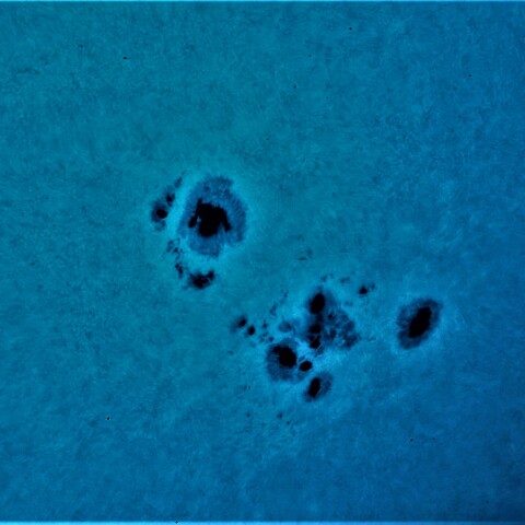 黒点半暗部周辺の現象(3354)7/2