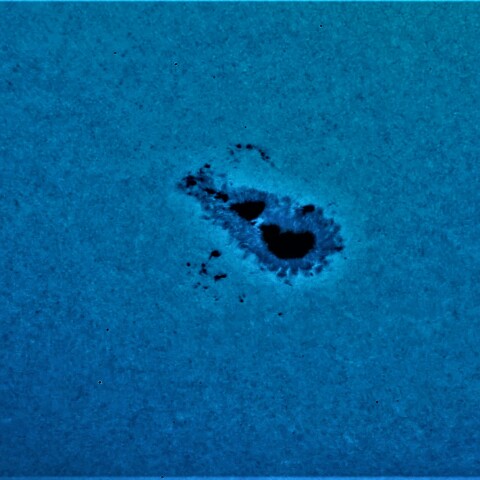 黒点半暗部周辺の現象(3363)7/15