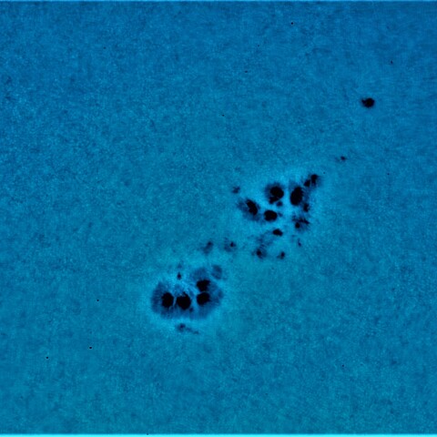 黒点半暗部周辺の現象(3373)7/22