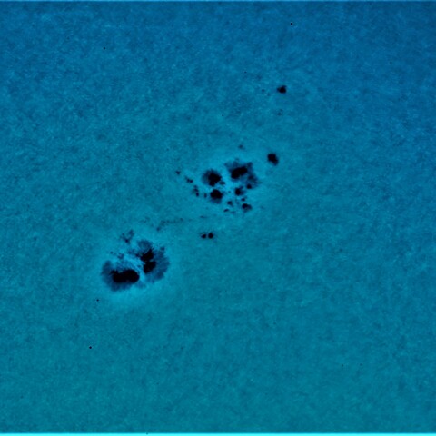 黒点半暗部周辺の現象(3373)7/23