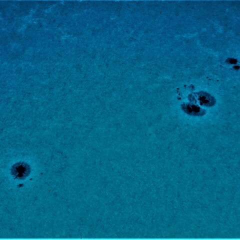 黒点半暗部周辺の現象(3373、3376)7/24