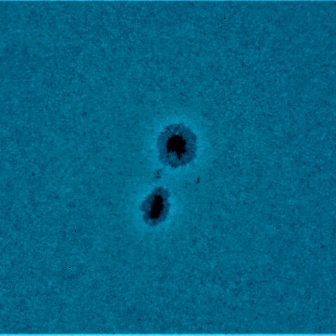 黒点半暗部周辺の現象(3377)7/24