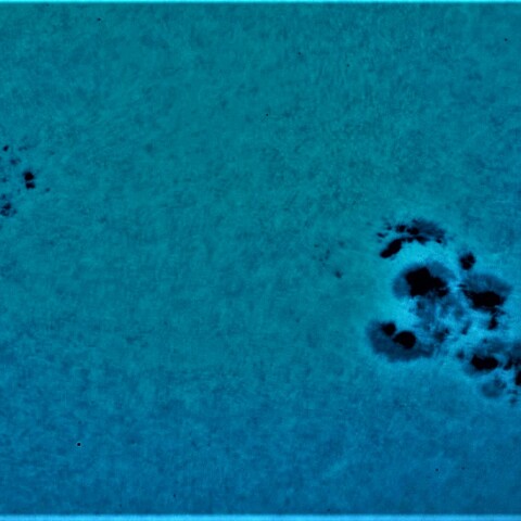 黒点半暗部周辺の現象(3380、3384)8/1