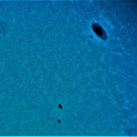 黒点半暗部周辺の現象(3394、3399)8/13