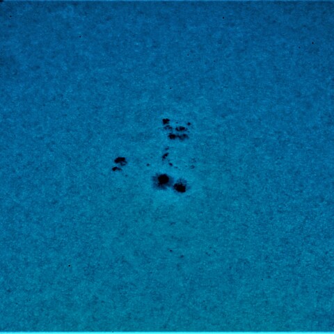 黒点半暗部周辺の現象(3395)8/13