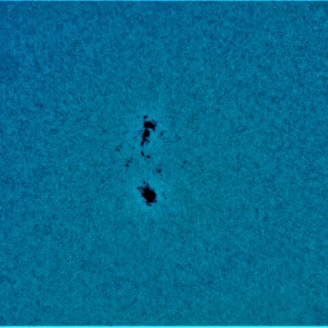 黒点半暗部周辺の現象(3397)8/13