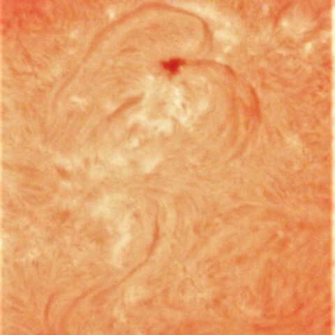 フィラメント・太陽面　8/19