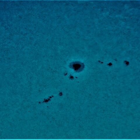 黒点半暗部周辺の現象(3403、3409)