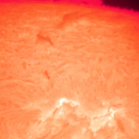 9/9 　活動領域とプロミネンス