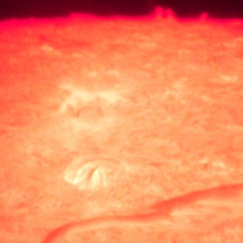 9/17 　活動領域とプロミネンス