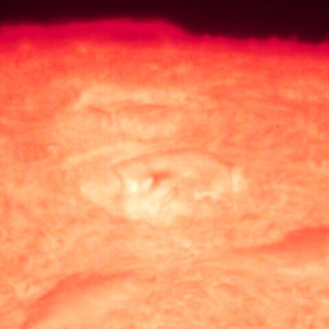 9/18 　活動領域とプロミネンス