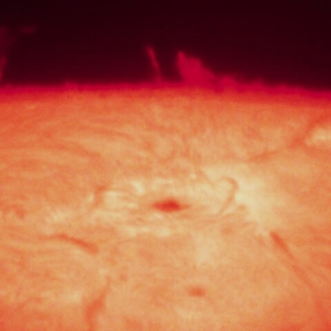 9/18 　活動領域とプロミネンス2