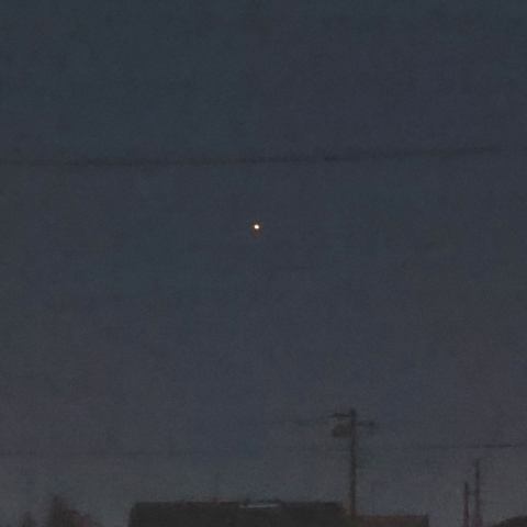 やっと見えたカノープス