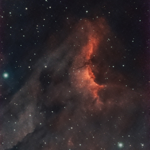 Pelican Nebula  IC5070