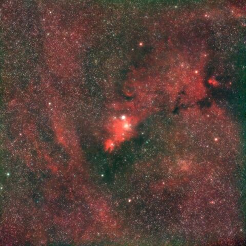 NGC2264  季節外れのクリスマス