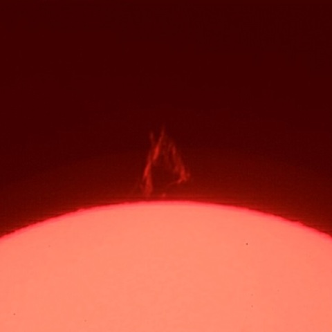 太陽プロミネンス