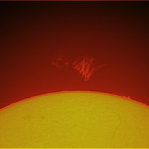 浮遊プロミネンス