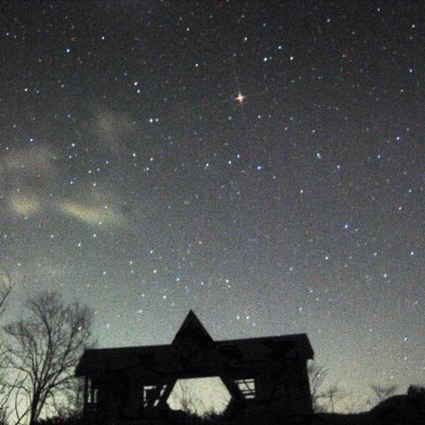 白樺に聳え立つ北天の星者たち