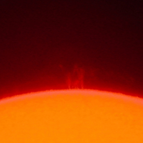 太陽プロミネンス