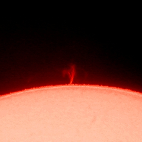 火の鳥～太陽プロミネンス