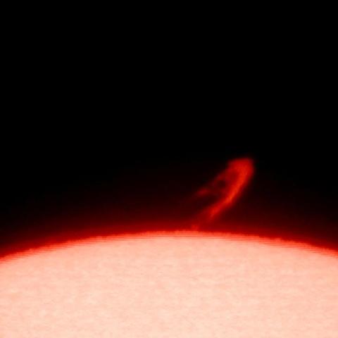 フェニックス～太陽プロミネンス