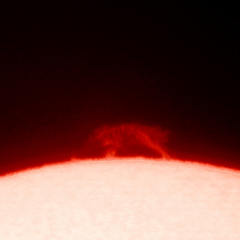 太陽プロミネンス